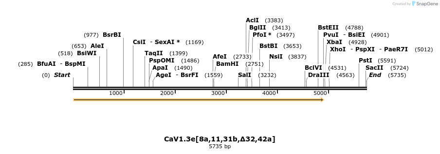 78996_map