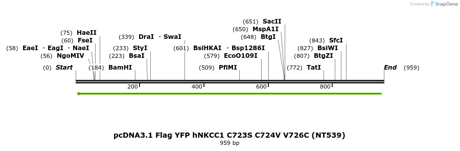 78997_map