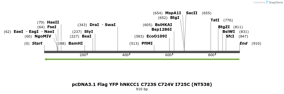 78998_map