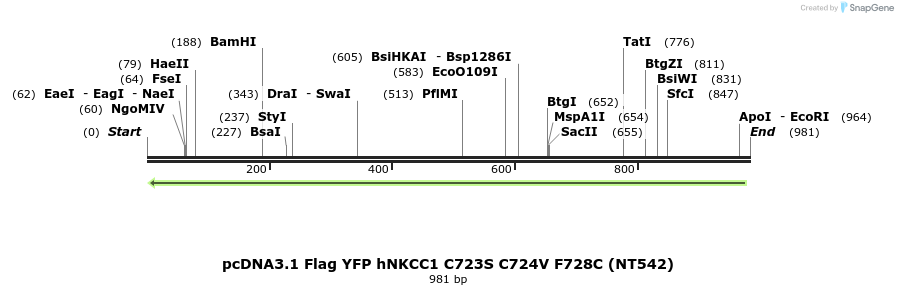 78999_map