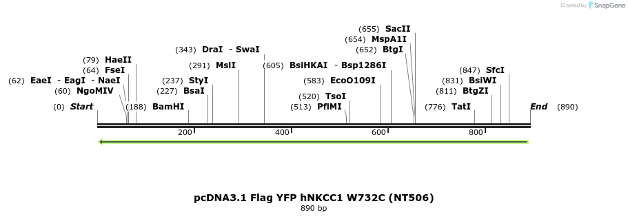 79000_map