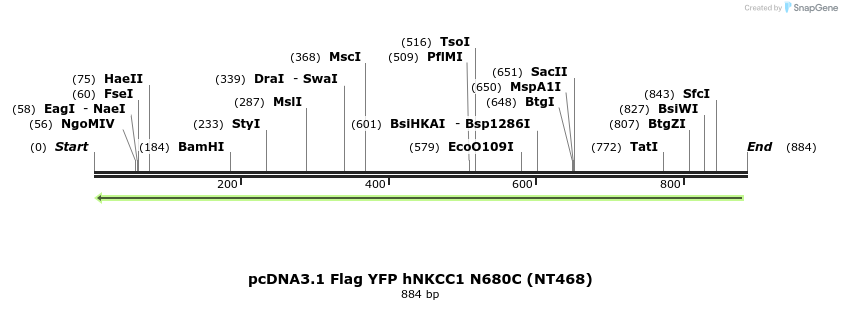 79001_map