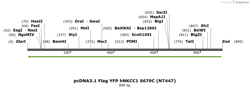 79002_map