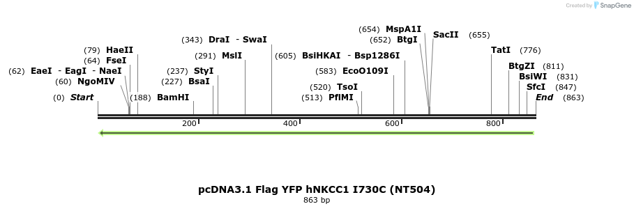79006_map