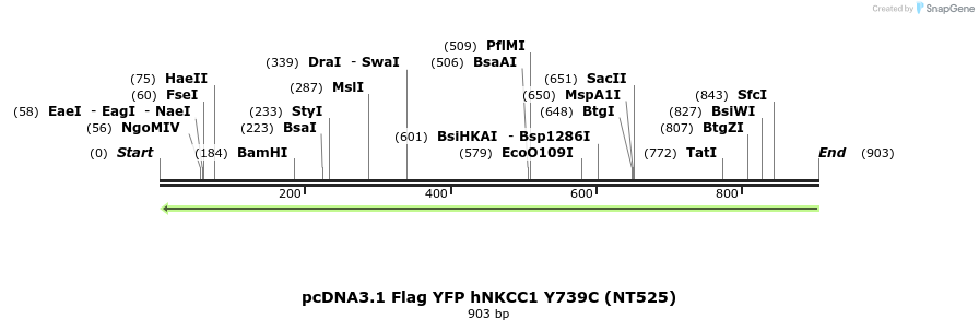 79011_map
