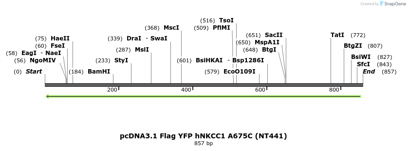 79012_map