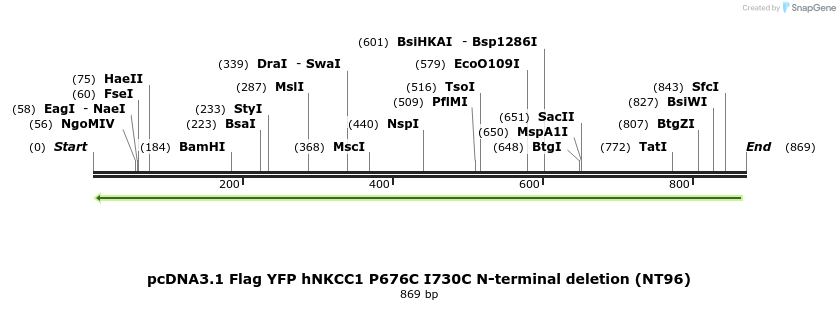 79015_map