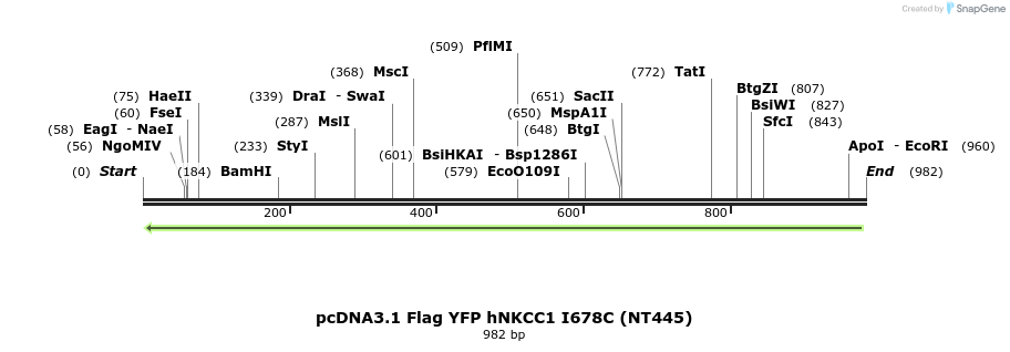 79016_map