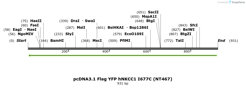 79017_map