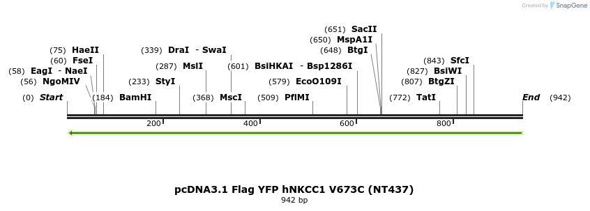 79018_map