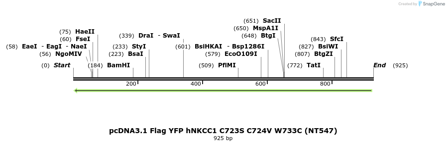 79023_map