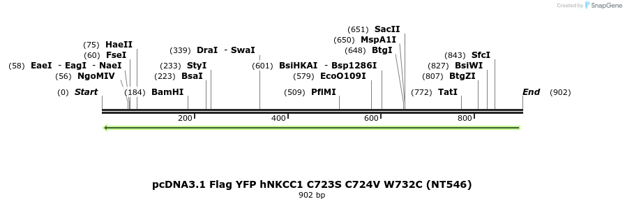 79036_map