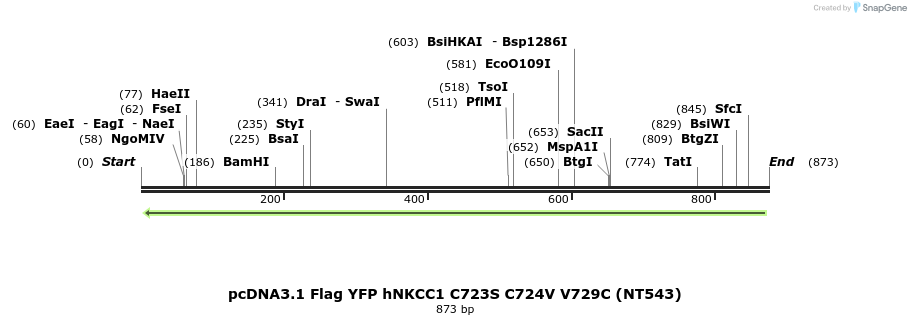 79037_map
