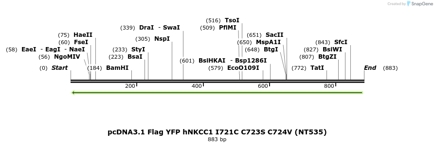 79038_map