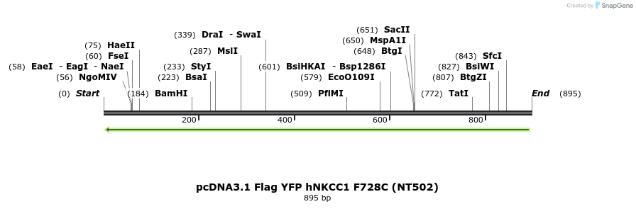 79039_map