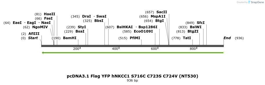 79040_map