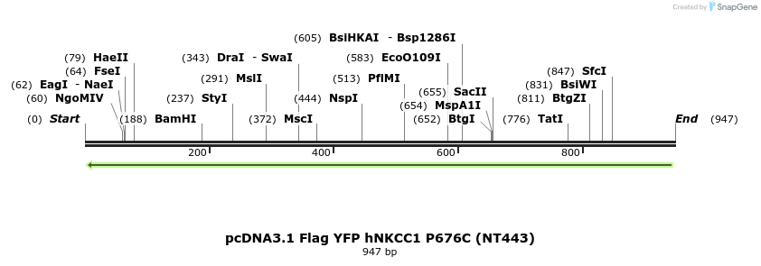 79041_map