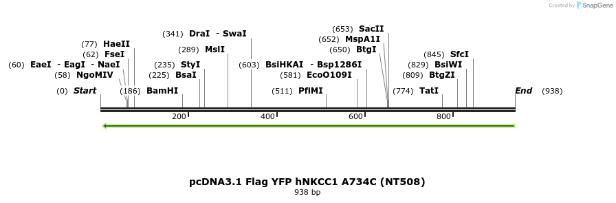 79044_map