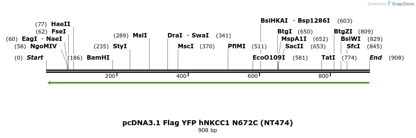 79045_map