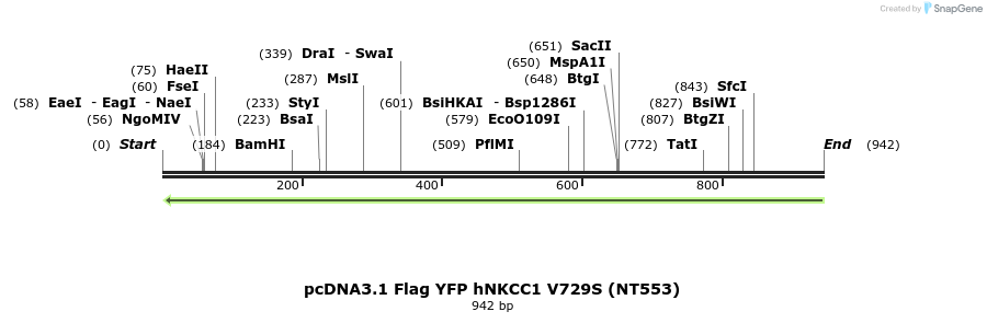 79046_map