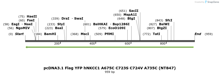 79047_map