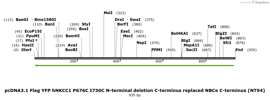 79048_map