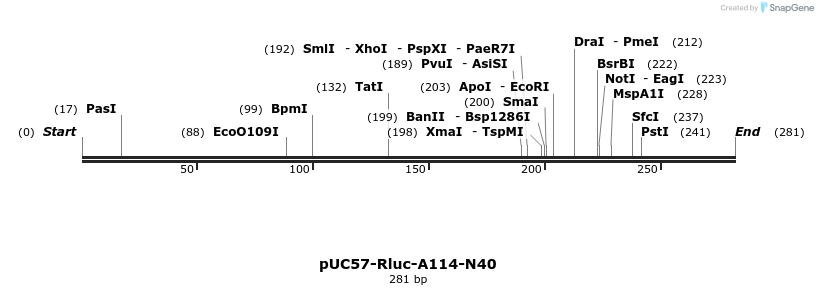 79049_map