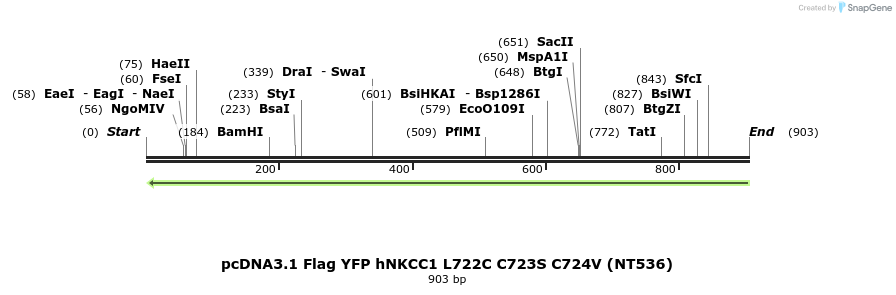 79050_map
