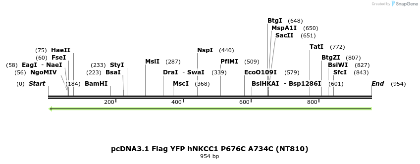 79051_map