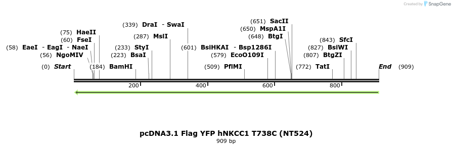 79052_map