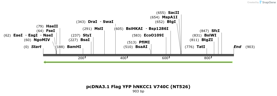 79054_map
