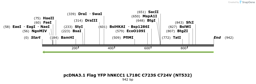 79055_map