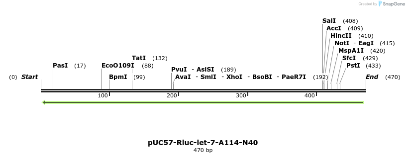79056_map