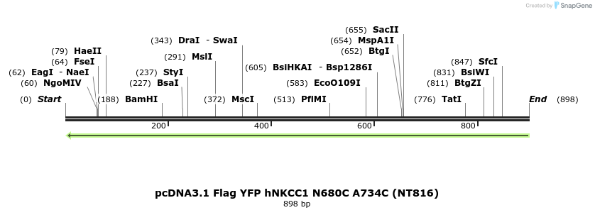 79057_map