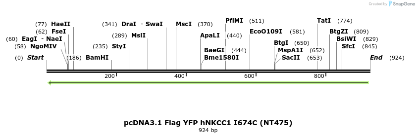 79059_map
