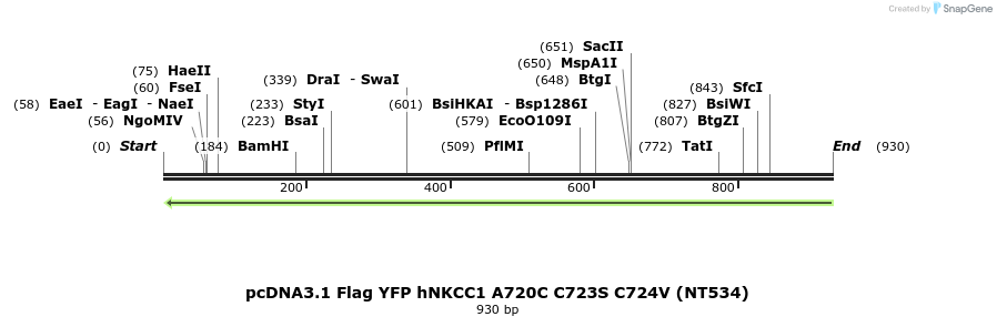 79060_map