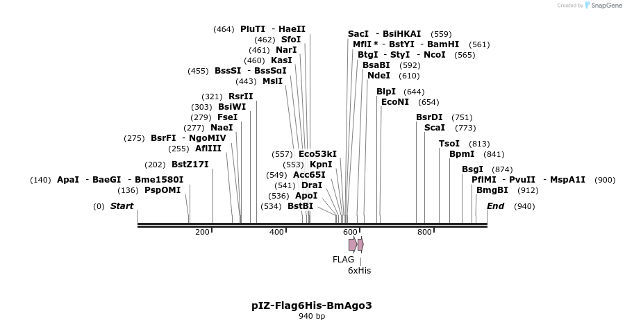 79061_map