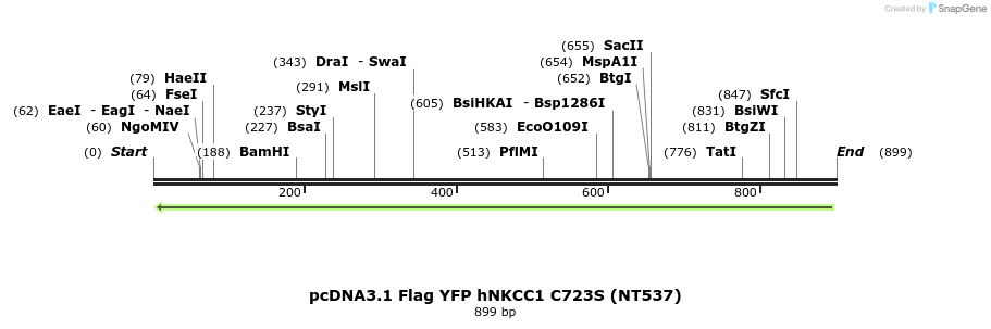 79063_map