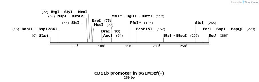 79065_map