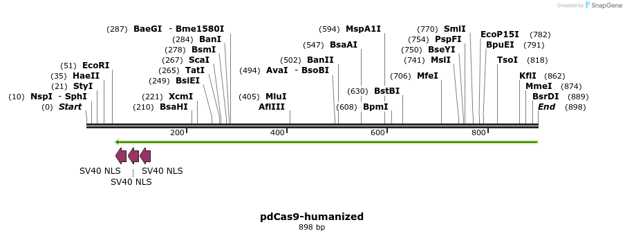 79073_map
