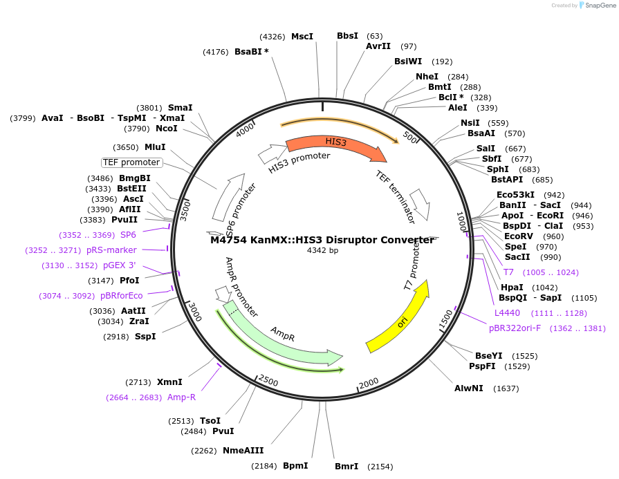 79095_map