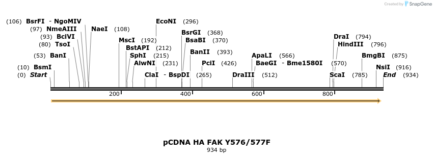 79112_map