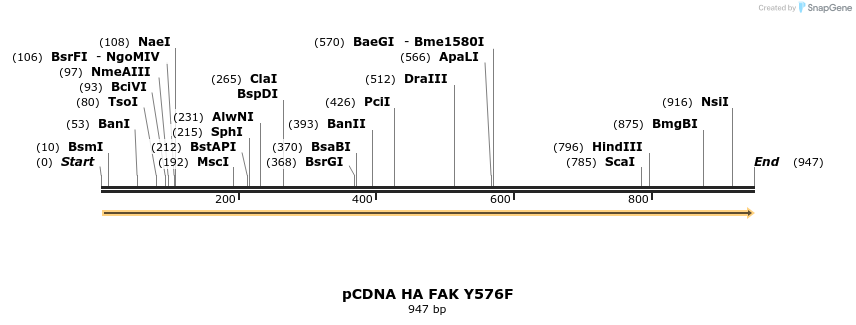 79113_map