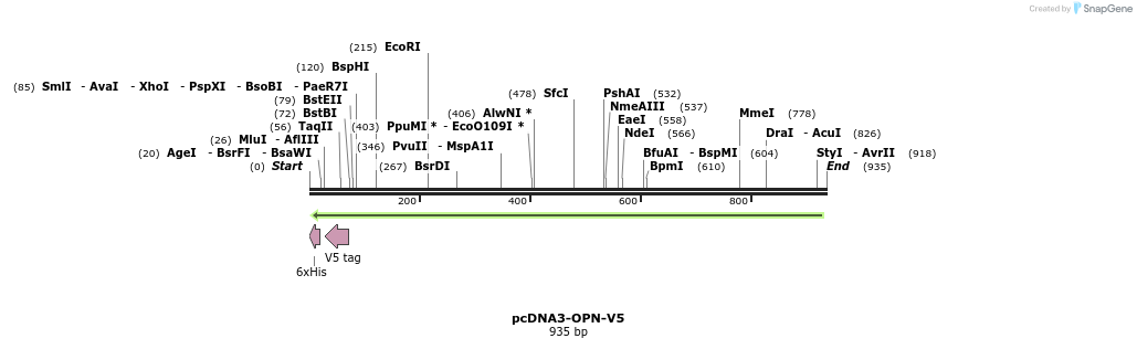 79114_map