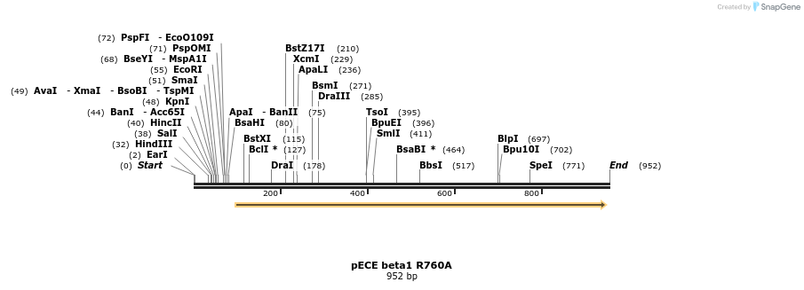 79115_map