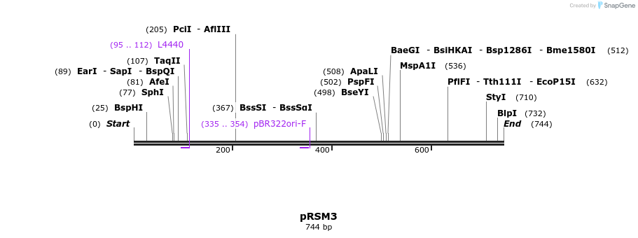 79116_map