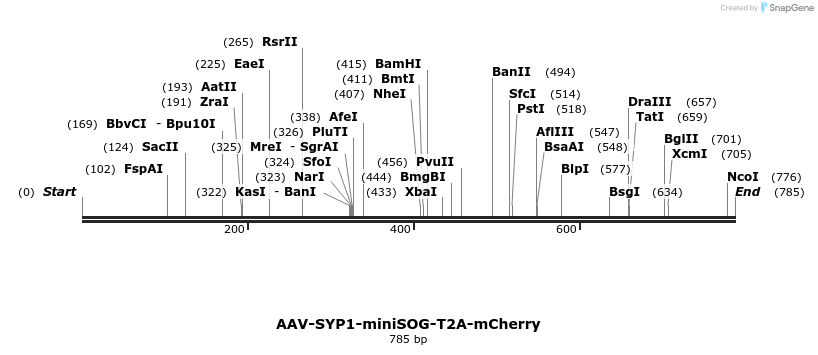 79126_map