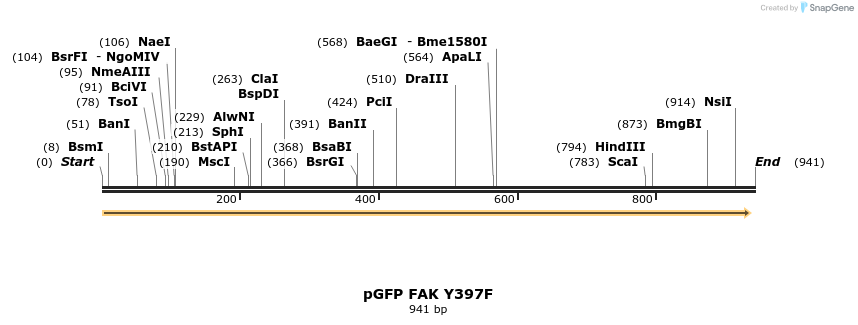 79127_map