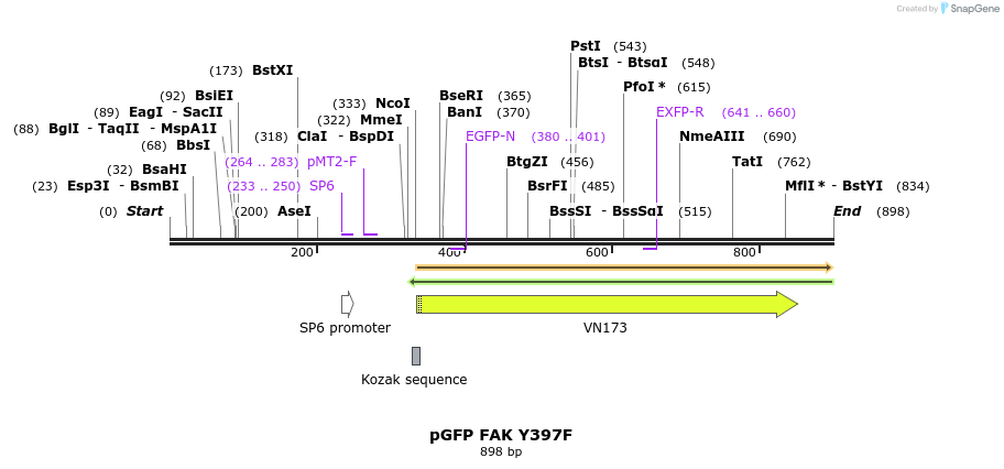 79129_map