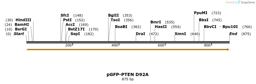 79130_map